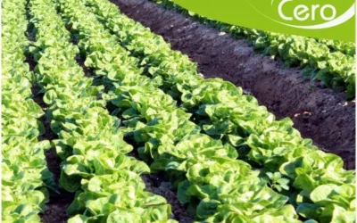 La agricultura ecológica sostenible de la mano de la tecnología Fyneco